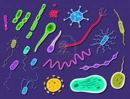 Malattie causa da batteri e virus
