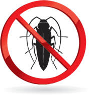 Creolina per allontanare scarafaggi e insetti