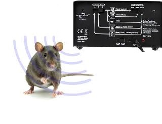 Derattizzazione con ultrasuoni