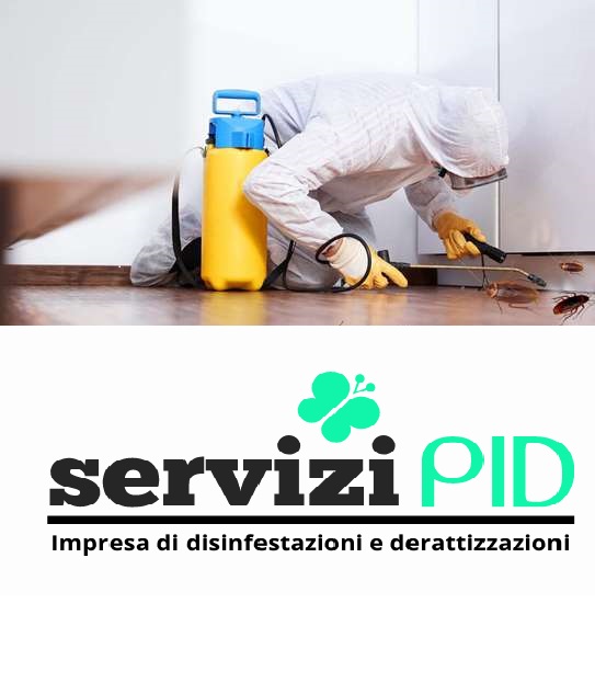 Disinfestazione scarafaggi Lecce 338-2357441