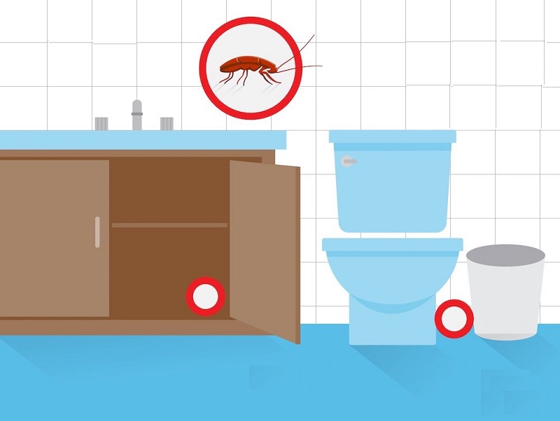 Dove si nascondono gli scarafaggi in casa?