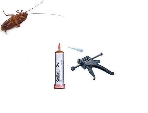 Prodotti potenti contro gli scarafaggi