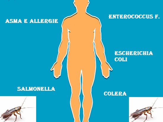 malattie causate dagli scarafaggi